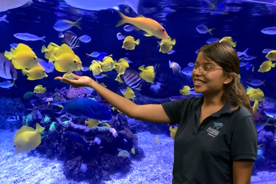 Educator with green screen fish