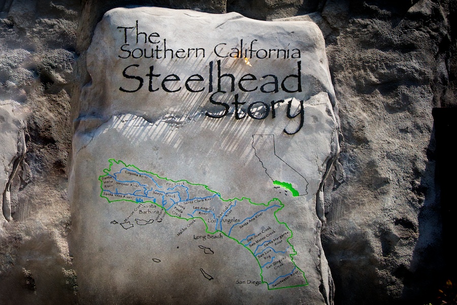 Rock with Steelhead Exhibit logo