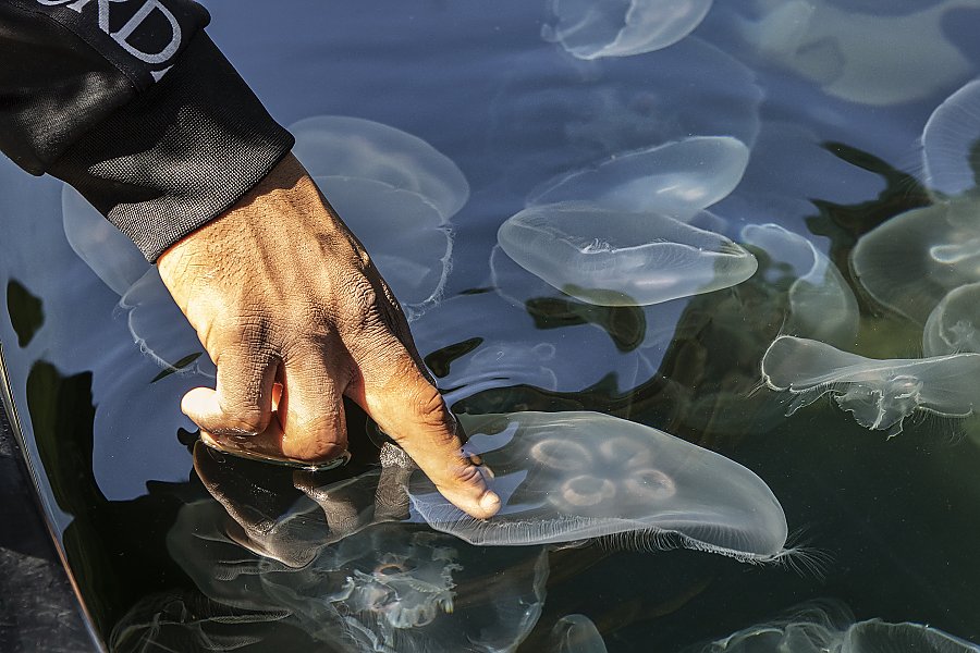 mans hand touching jelly