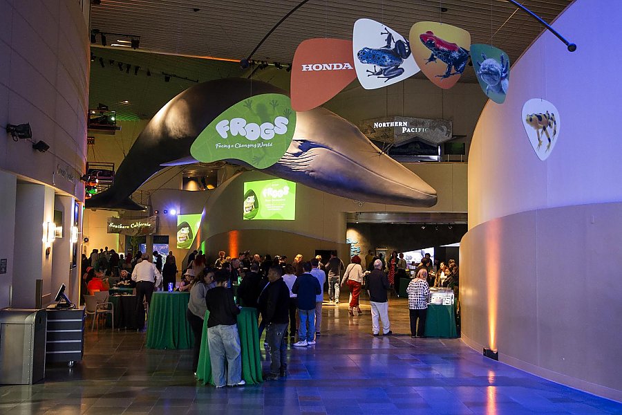 mobile with Frogs photos and logo hang in a low-lit Great Hall in front of a large blue whale sculpture hanging from the ceiling while people walk around below