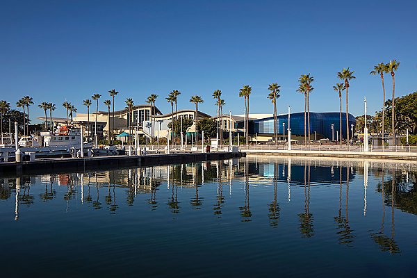 Aquarium view from the Harbor