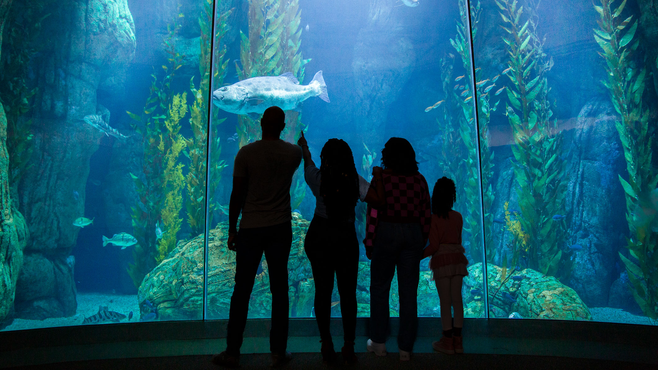 Four figures in front of Aquarium Blue Cavern exhibit