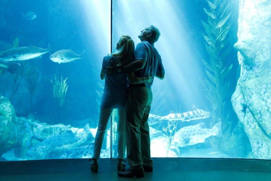 Couple in front of Blue Cavern